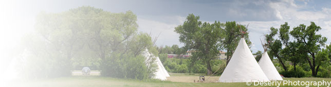 Tipis in a field